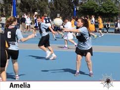Netball