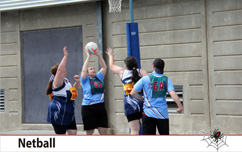 Netball